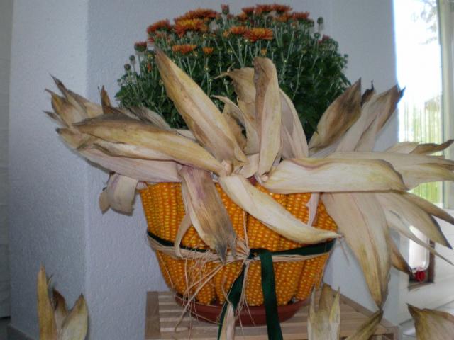 Name:  Blumentopf.jpeg
Views: 1604
Size:  43.1 KB