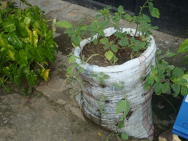 Name:  kids-club-122_kl.jpeg
Views: 1344
Size:  32.5 KB