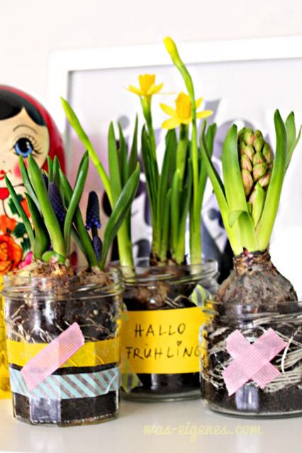 Name:  diy-blumentopf-honigglas10-1.jpg
Views: 2346
Size:  45.4 KB