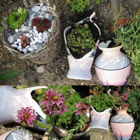 Name:  Vase+mit+Hauswurz-1.jpg
Views: 5311
Size:  74.2 KB