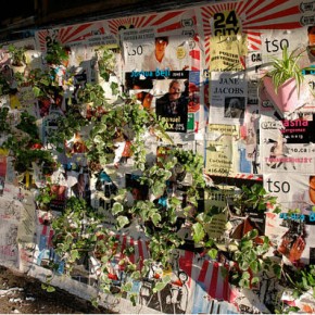 Name:  poster-garten-2-290x290-1.jpeg
Views: 2892
Size:  48.9 KB