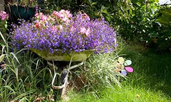 Name:  thinkstock_96452591.jpg
Views: 2015
Size:  57.1 KB