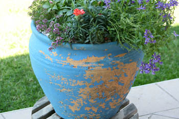 Name:  IMG_1613.JPG
Views: 3543
Size:  49.7 KB