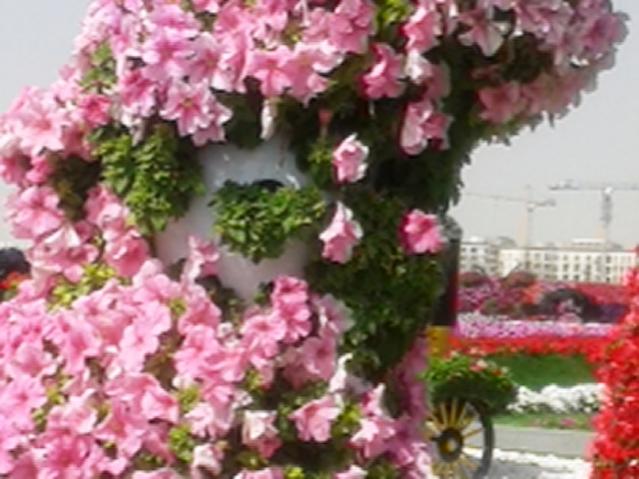 Name:  20130226_110723.jpg
Views: 1683
Size:  47.9 KB