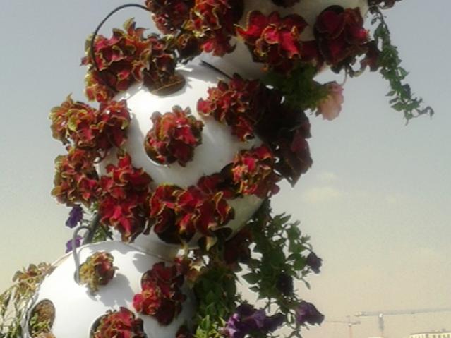 Name:  20130226_110630.jpg
Views: 1685
Size:  39.7 KB