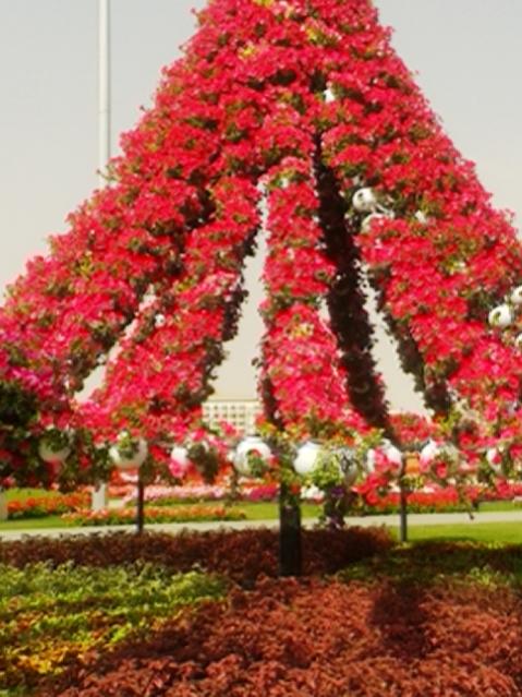 Name:  20130226_112520.jpg
Views: 1701
Size:  59.4 KB
