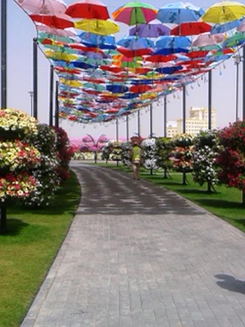 Name:  20130226_112535.jpg
Views: 1713
Size:  50.1 KB