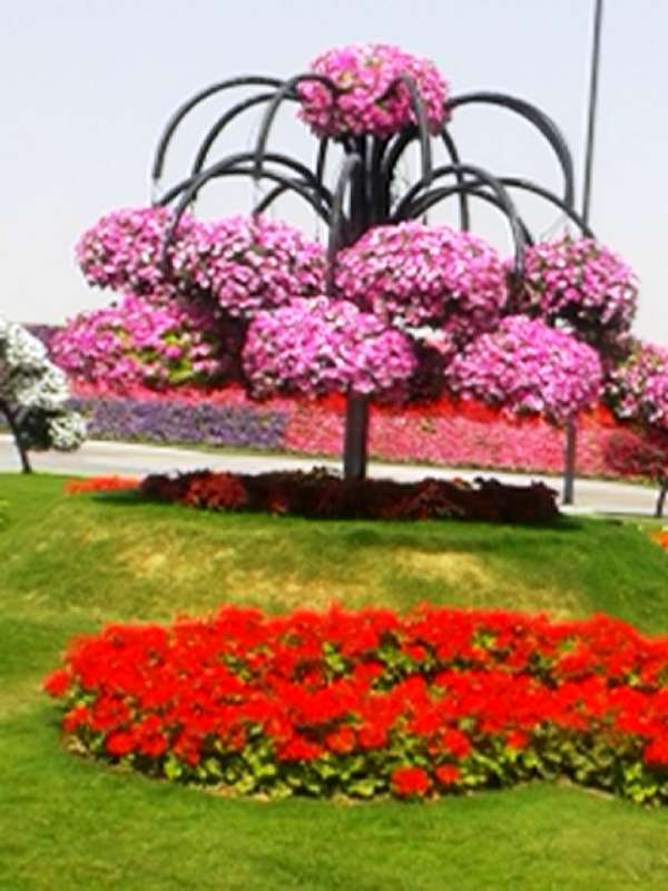 Name:  20130226_112900-800.jpg
Views: 1435
Size:  53.7 KB