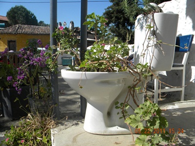 Name:  DSCN2433.JPG
Views: 1362
Size:  68.1 KB