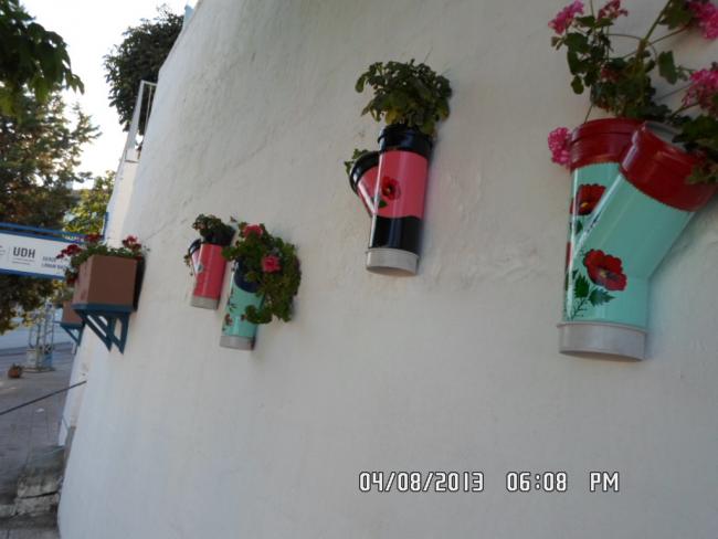 Name:  SAM_0220.jpg
Views: 8875
Size:  32.7 KB