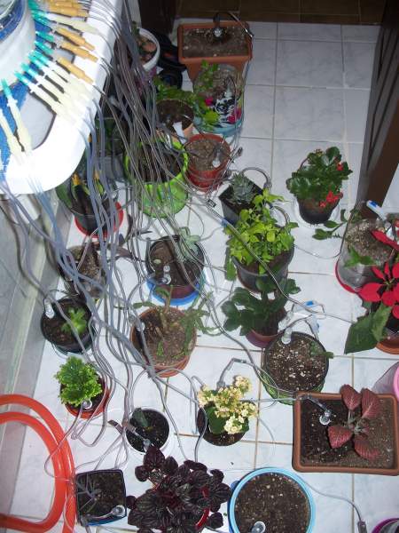 Name:  100_4862.jpg
Views: 3421
Size:  52.2 KB
