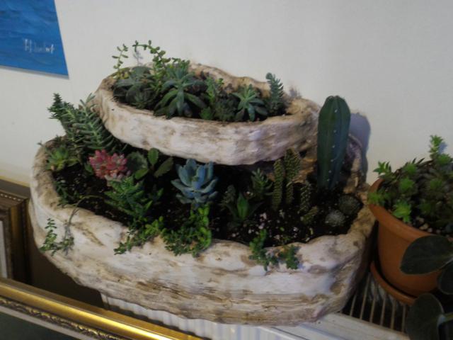 Name:  P_20151020_180751.jpg
Views: 920
Size:  59.9 KB