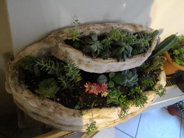 Name:  P_20151020_180805.jpg
Views: 796
Size:  65.5 KB
