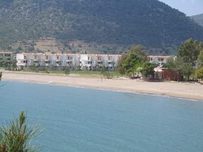 Name:  037520001176456248578130_6.jpg
Views: 10978
Size:  14.2 KB
