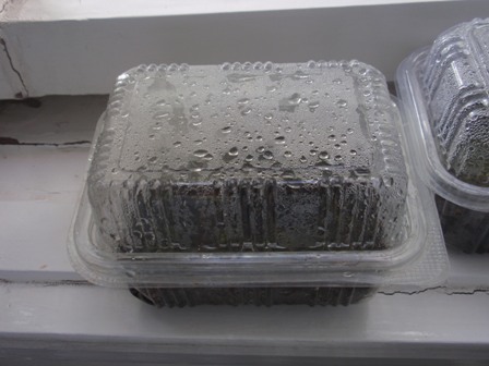 Name:  P9012169.JPG
Views: 1212
Size:  43.2 KB