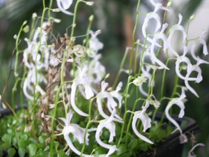 Name:  IMGP0813_resize.JPG
Views: 824
Size:  41.6 KB