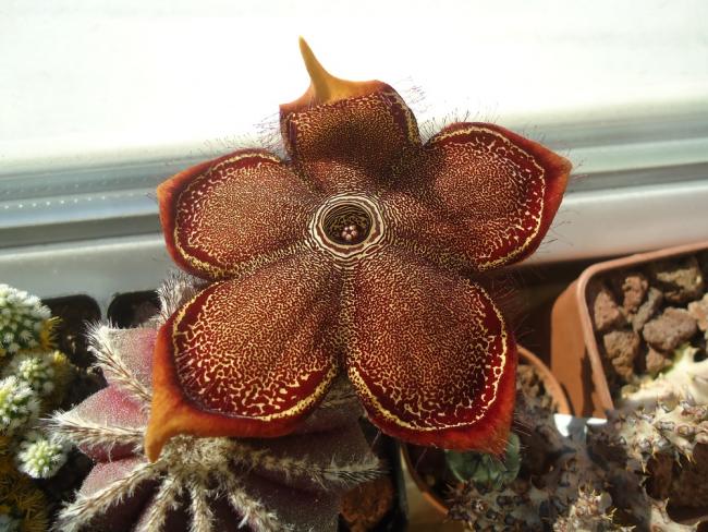 Name:  2.jpg
Views: 448
Size:  64.4 KB