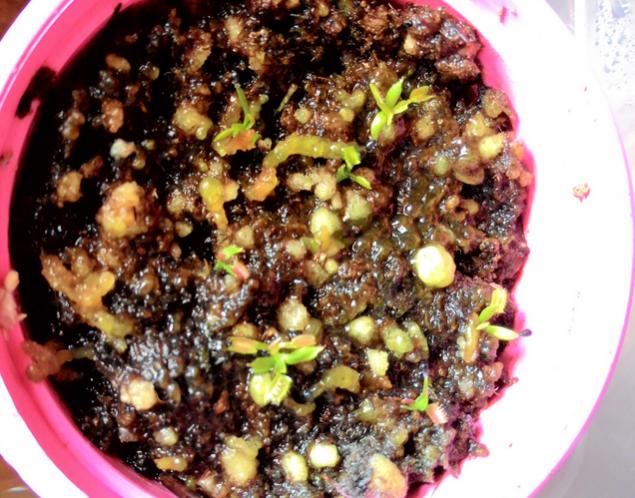 Name:  vft.jpg
Views: 1311
Size:  67.8 KB