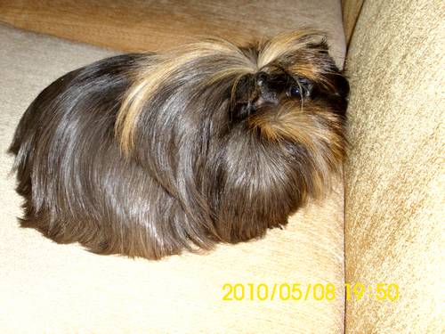 Name:  4.jpg
Views: 2318
Size:  36.3 KB