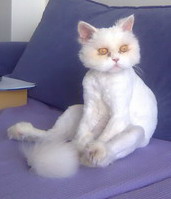 Name:  ked.jpg
Views: 511
Size:  14.8 KB