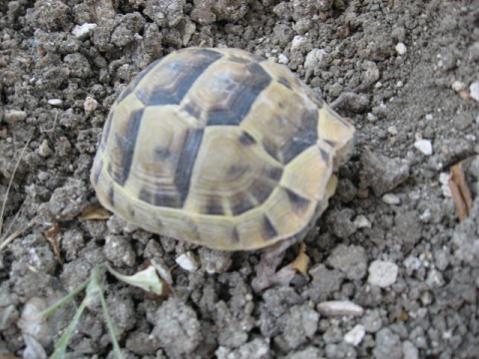 Name:  Resim 035.jpg
Views: 421
Size:  37.5 KB