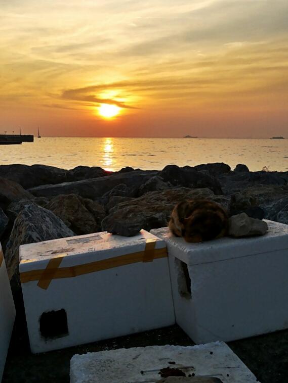 Name:  Sunset at Kalams bay.jpg
Views: 749
Size:  41.7 KB