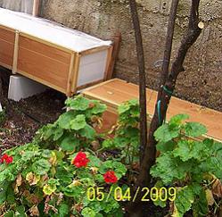 Name:  100_3437.jpg
Views: 3737
Size:  21.0 KB