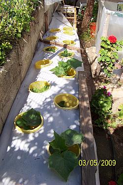 Name:  100_3541.jpg
Views: 3601
Size:  49.3 KB