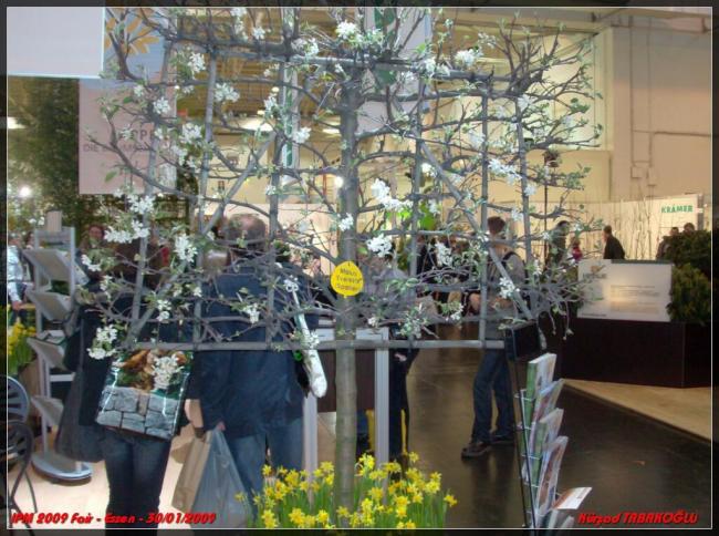 Name:  078.jpg
Views: 6957
Size:  66.4 KB