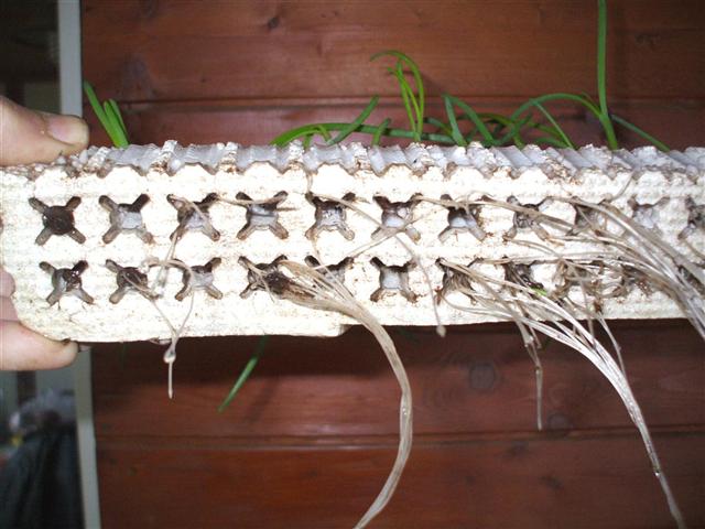 Name:  DSCF1308 (Small).JPG
Views: 2683
Size:  57.4 KB