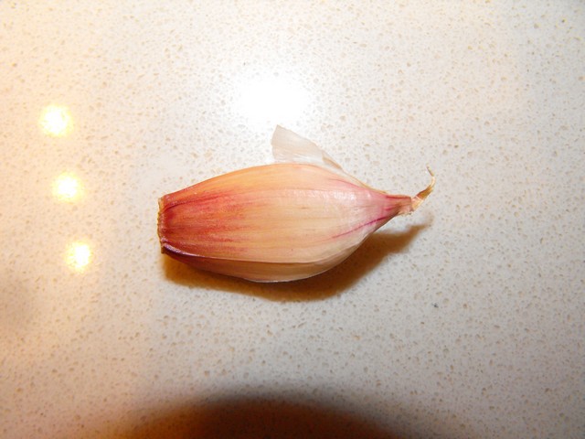 Name:  RR200003.JPG
Views: 2595
Size:  69.7 KB