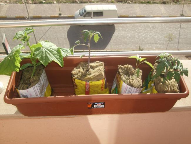 Name:  DSCF1354.jpg
Views: 8897
Size:  47.2 KB
