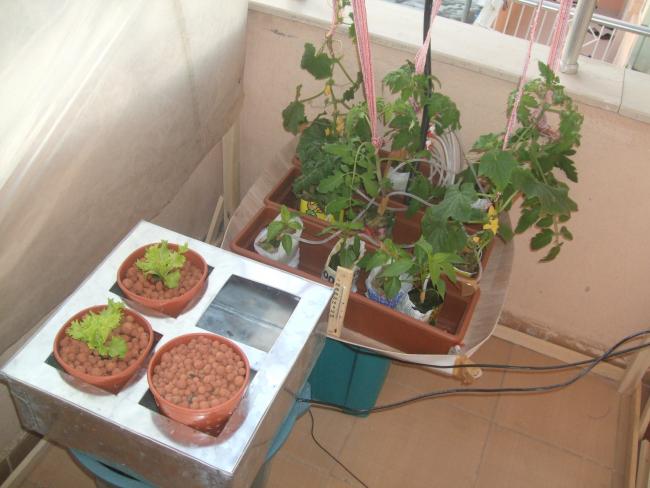 Name:  DSCF1369.jpg
Views: 8926
Size:  43.7 KB