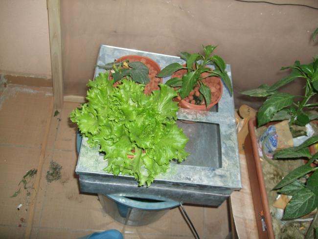 Name:  DSCF1493.jpg
Views: 2172
Size:  43.8 KB