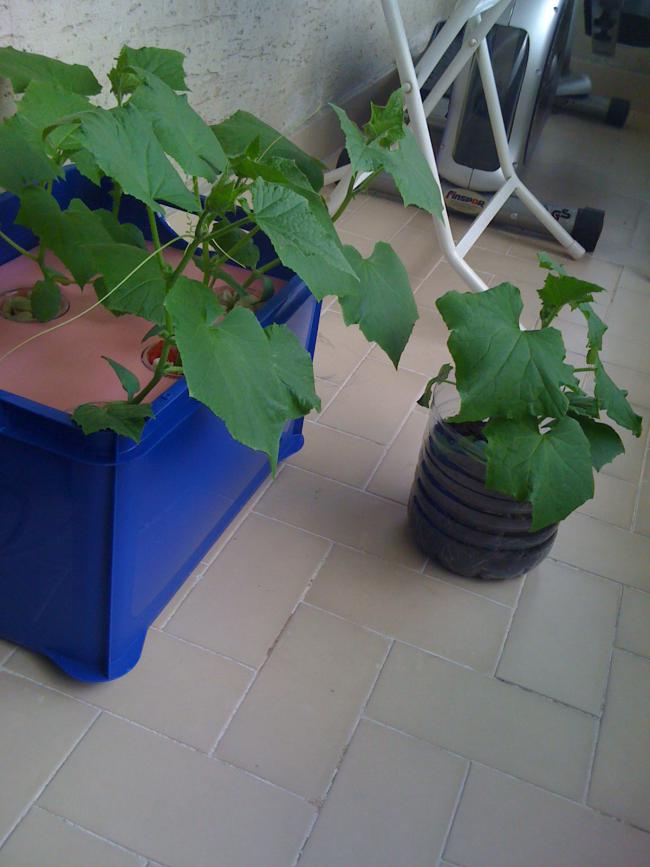 Name:  IMG_1083.jpg
Views: 674
Size:  56.5 KB