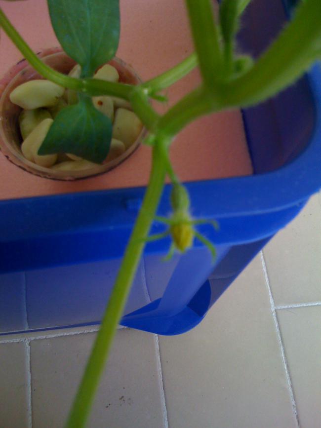 Name:  IMG_1085.jpg
Views: 688
Size:  38.9 KB