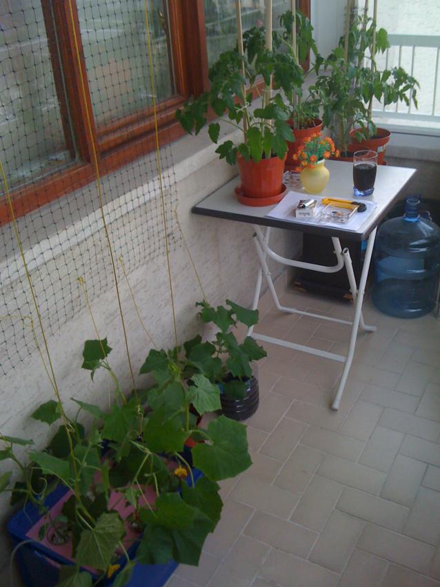 Name:  IMG_1120.jpg
Views: 587
Size:  70.3 KB