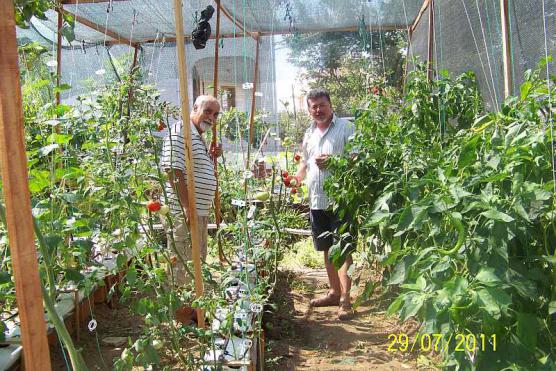 Name:  100_6578AOB.jpg
Views: 1531
Size:  71.7 KB