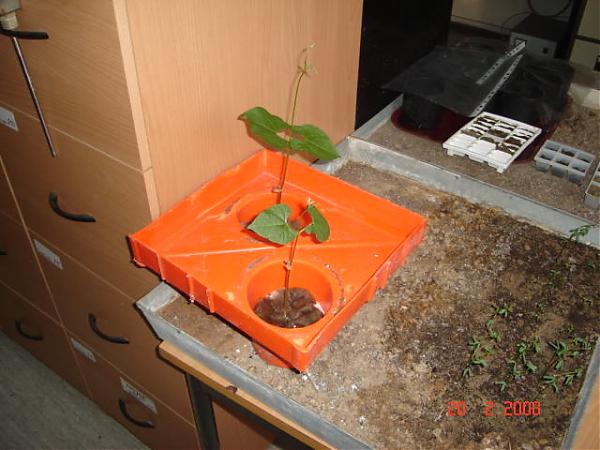 Name:  DSC05429.jpg
Views: 1224
Size:  43.7 KB