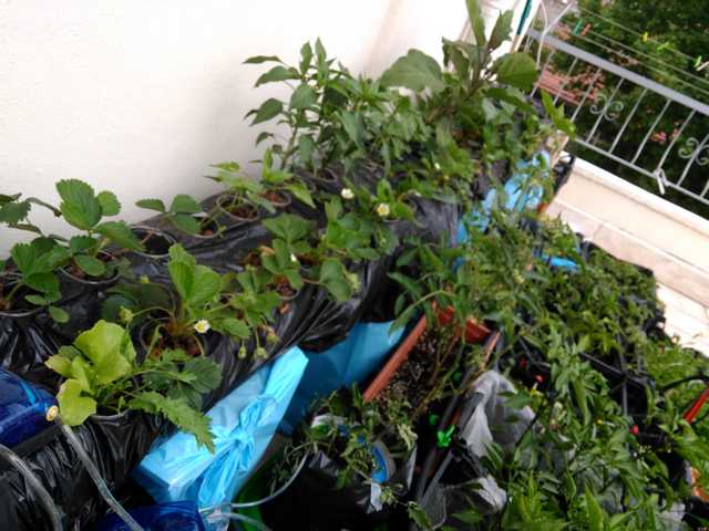 Name:  TUM SSTEM.jpg
Views: 1544
Size:  62.4 KB