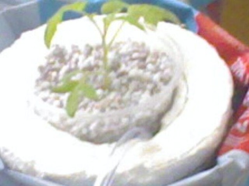 Name:  cherry.jpg
Views: 853
Size:  31.1 KB