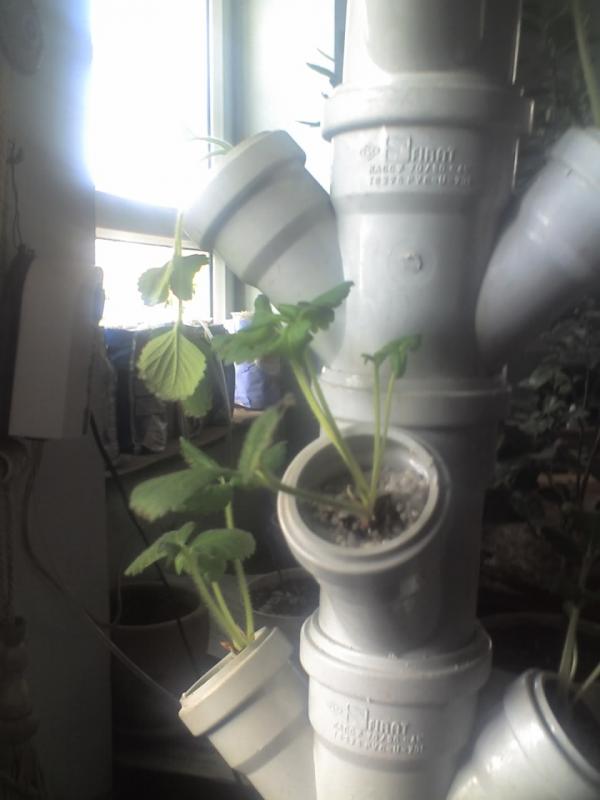 Name:  01-02-09_1248.jpg
Views: 2311
Size:  37.2 KB