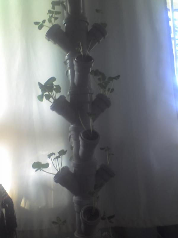 Name:  01-02-09_1250.jpg
Views: 2074
Size:  25.5 KB