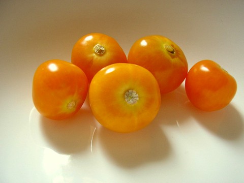 Name:  goldenberrypineapple4.jpg
Views: 1386
Size:  24.4 KB