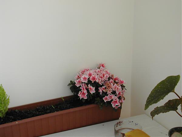 Name:  A1.jpg
Views: 16858
Size:  22.8 KB