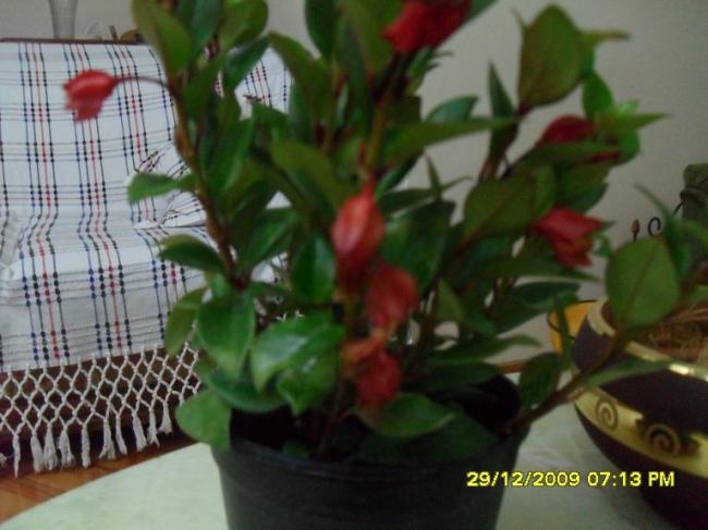 Name:  SDC11371.jpg
Views: 12476
Size:  41.0 KB