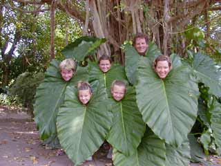 Name:  elephant_ear_pic2Small.jpg
Views: 2307
Size:  14.7 KB