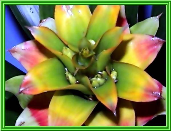 Name:  MTE5MjU5MTEyMDQ6.jpg
Views: 6185
Size:  35.7 KB