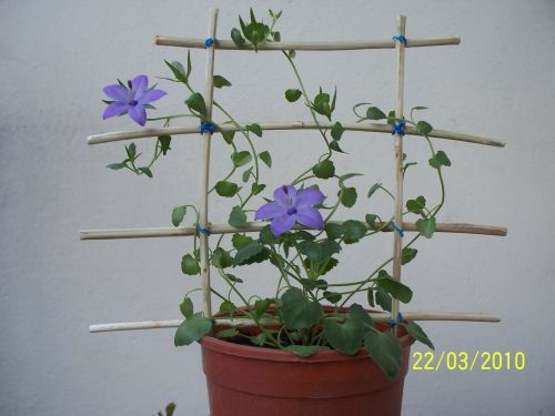 Name:  omr.mavi1.jpg
Views: 1500
Size:  42.1 KB
