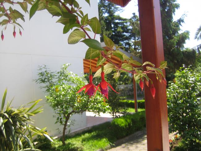 Name:  IMG_0004.jpg
Views: 1189
Size:  59.3 KB